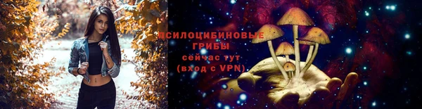 spice Абаза