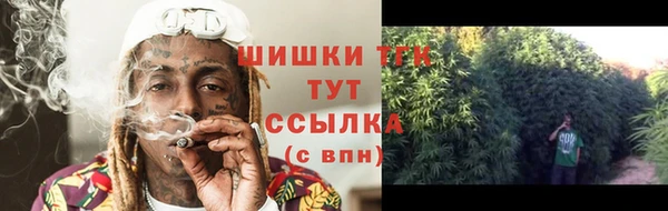 шишки Абинск