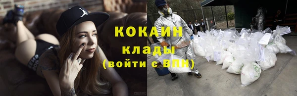spice Абаза