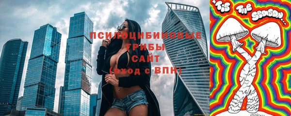 дурь Алексин