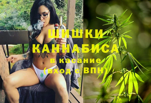 шишки Абинск